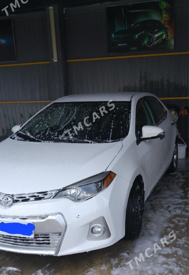 Toyota Corolla 2014 - 175 000 TMT - Ak bugdaý etraby - img 3