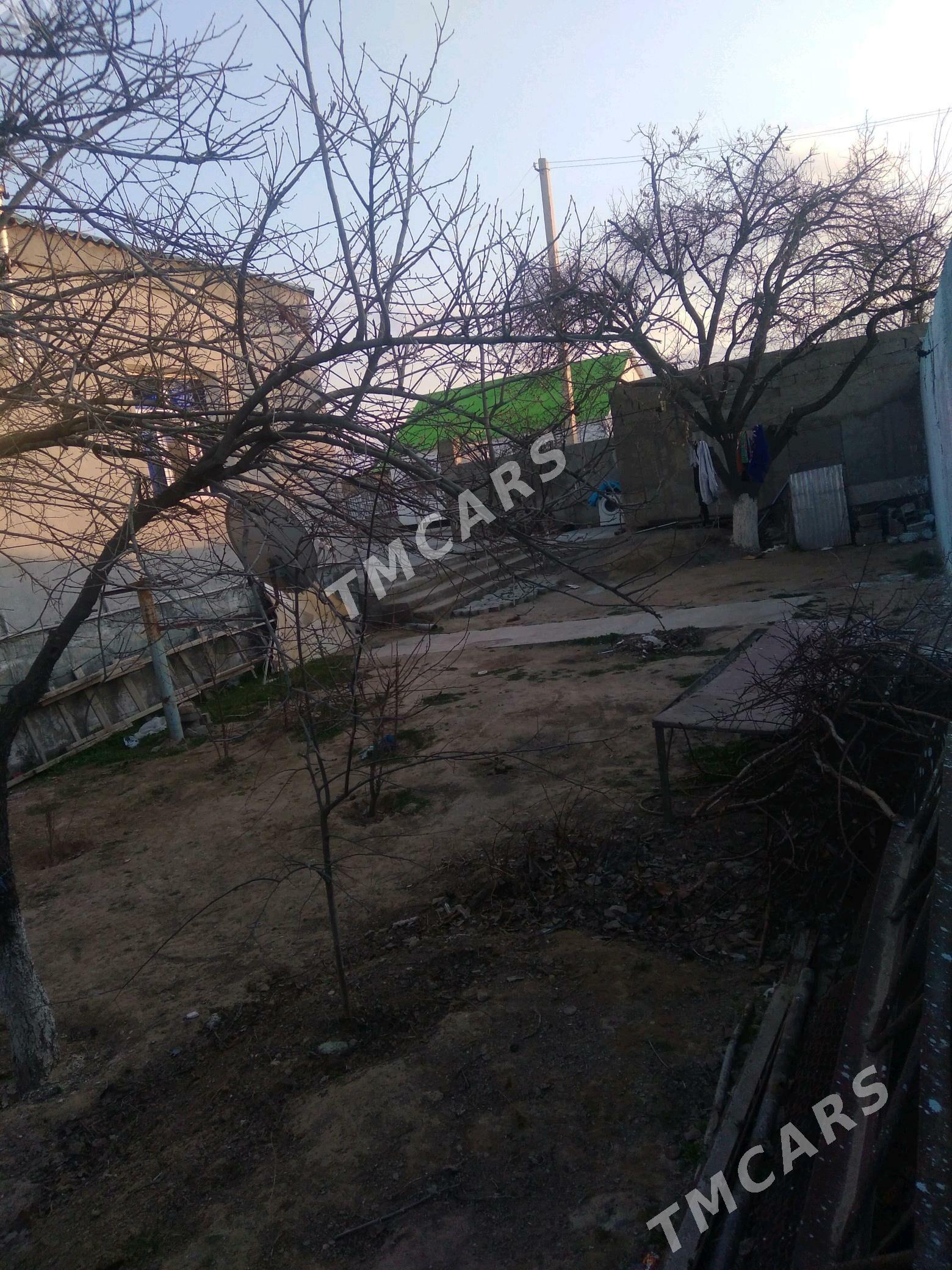 Gokje plon - Aşgabat - img 2