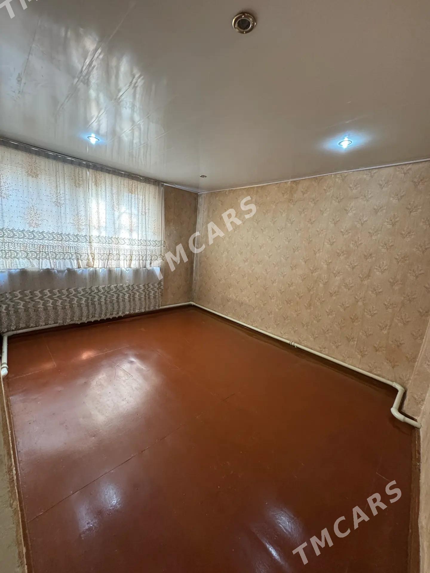 Buzmeyin finskiy jay - Büzmeýin - img 2