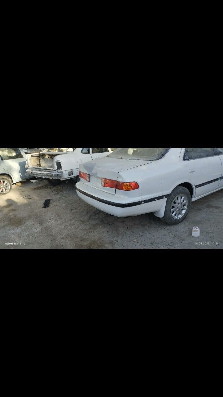 Camry Babocka HALIJI molding 500 TMT - Mary - img 6