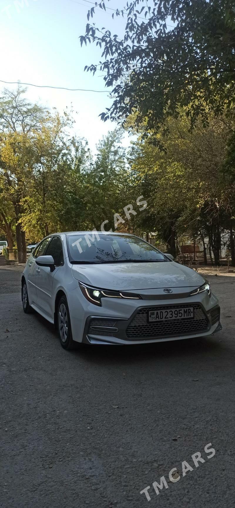 Toyota Corolla 2022 - 265 000 TMT - Mary - img 3