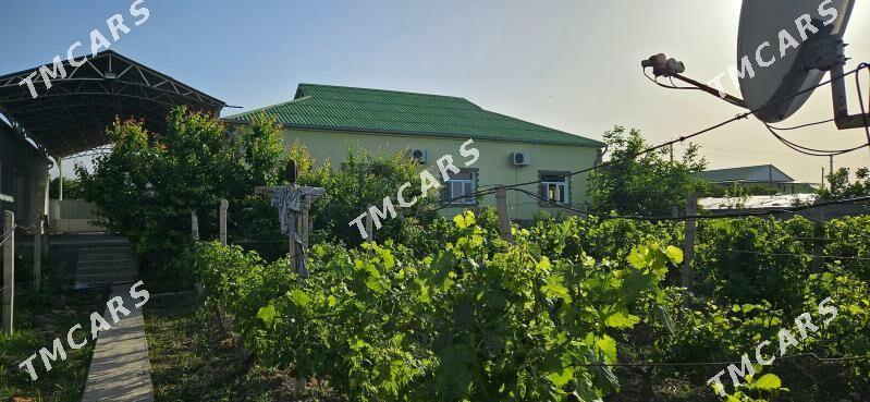 Ýasmansalyk 25 sotok 2 planjaý - Aşgabat - img 6