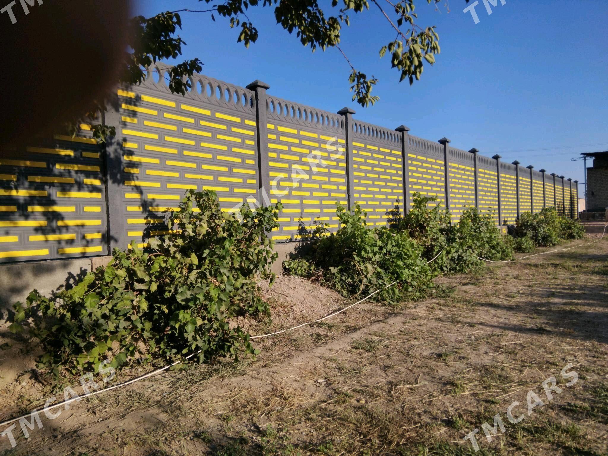 Beton Zabor (Haýat) - Ёлётен - img 5