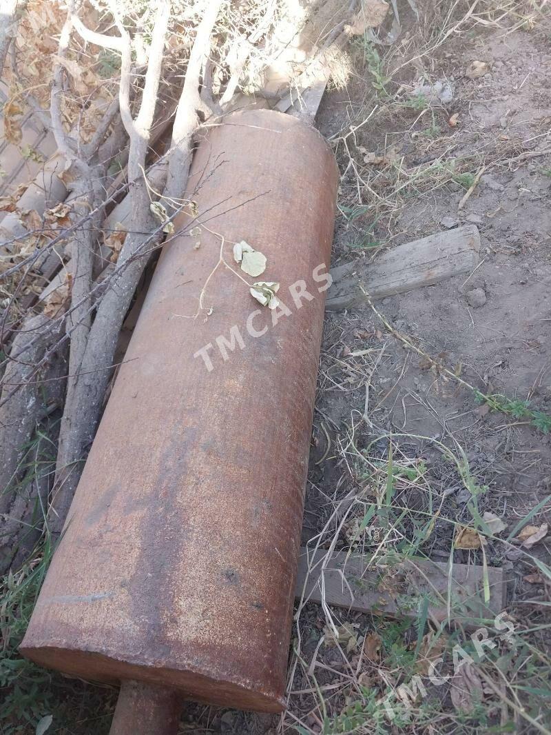 tiaTitan we agac - Çärjew - img 2