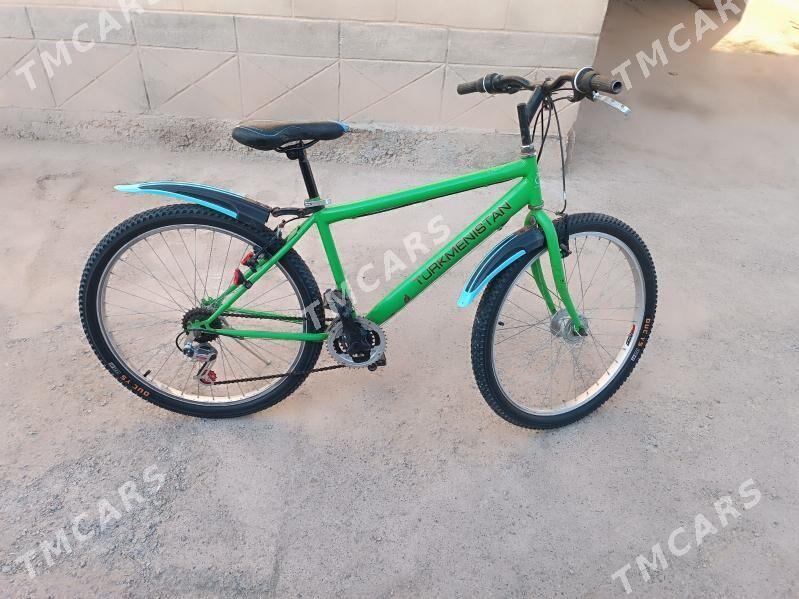 tigir Turkmenistan 26 - Теджен - img 2