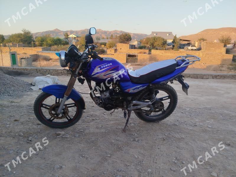 Fekon FK200-14G 2025 - 14 000 TMT - Магданлы - img 3