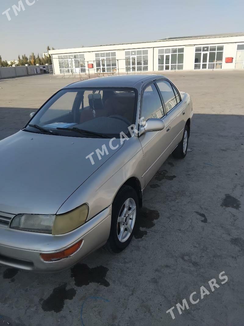 Toyota Corolla 1994 - 55 000 TMT - Kerki - img 2