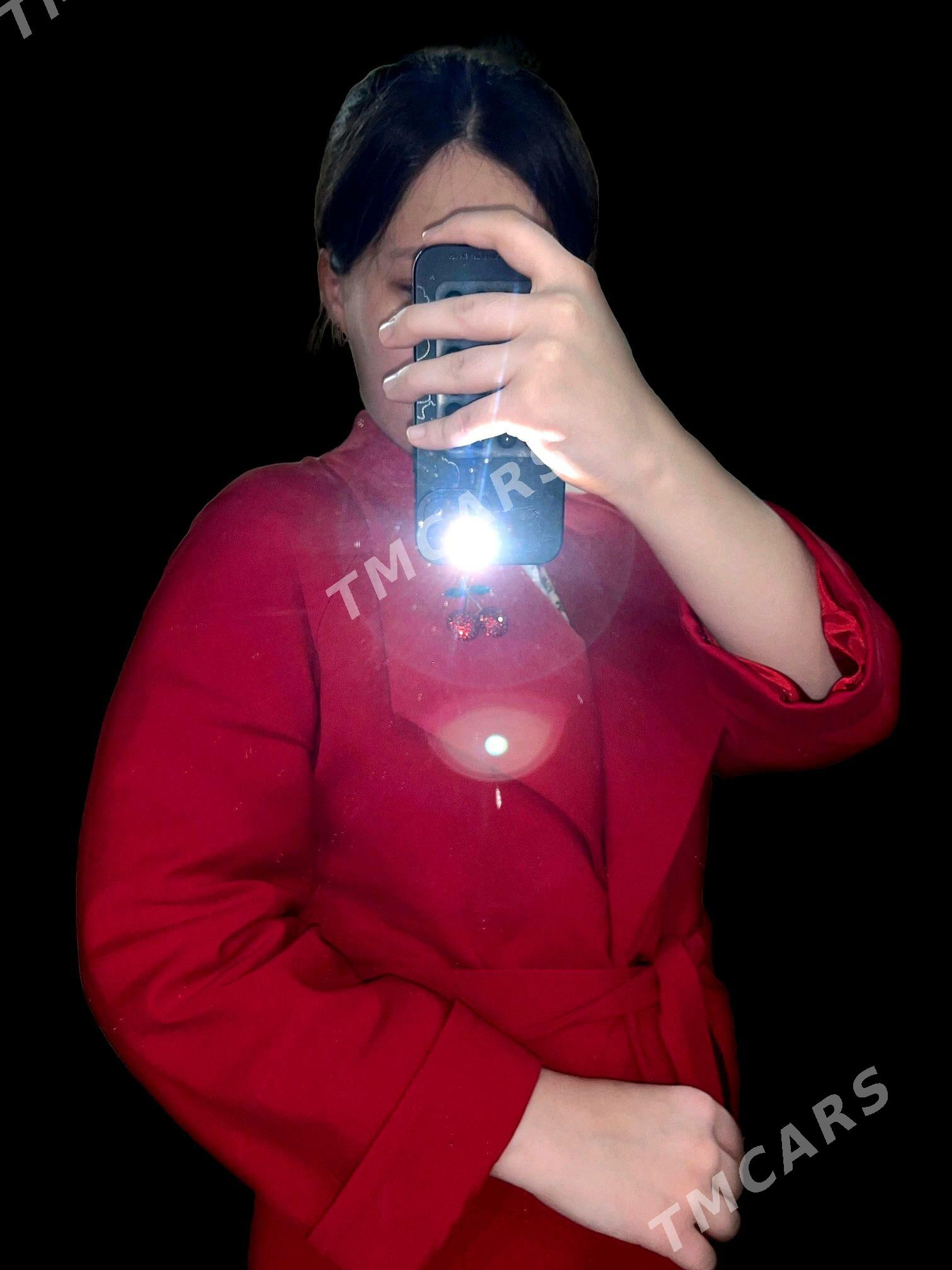Plaş - Daşoguz - img 2