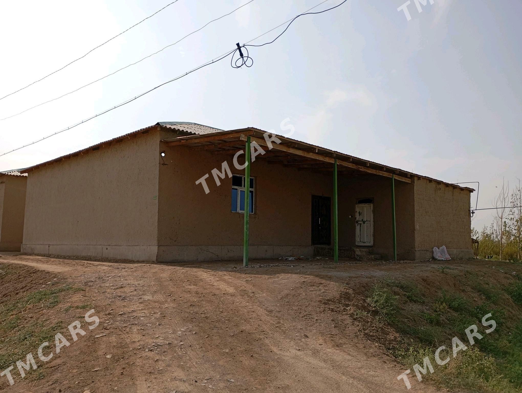 satlyk jayy - Болдумсаз - img 1