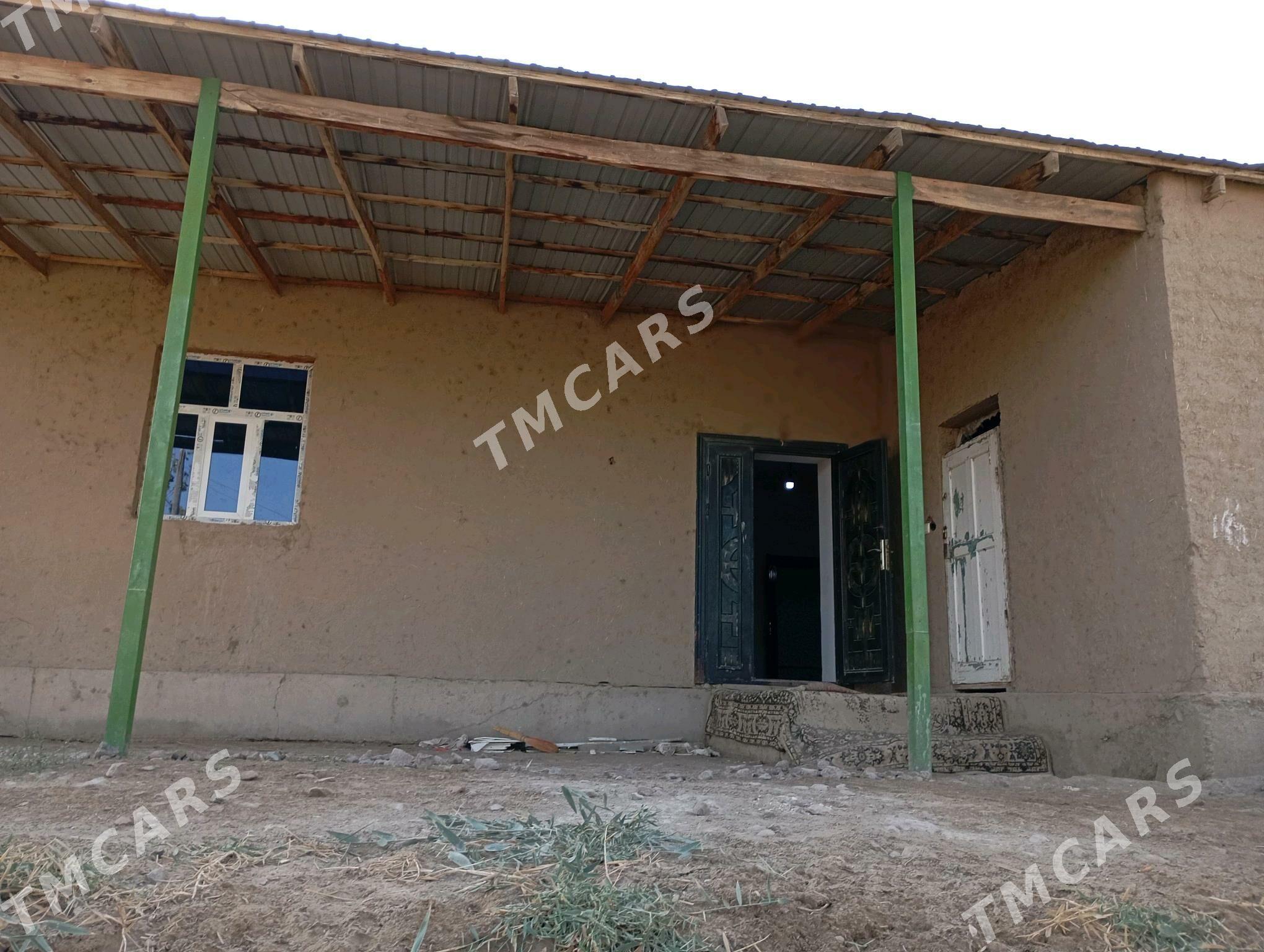 satlyk jayy - Болдумсаз - img 4