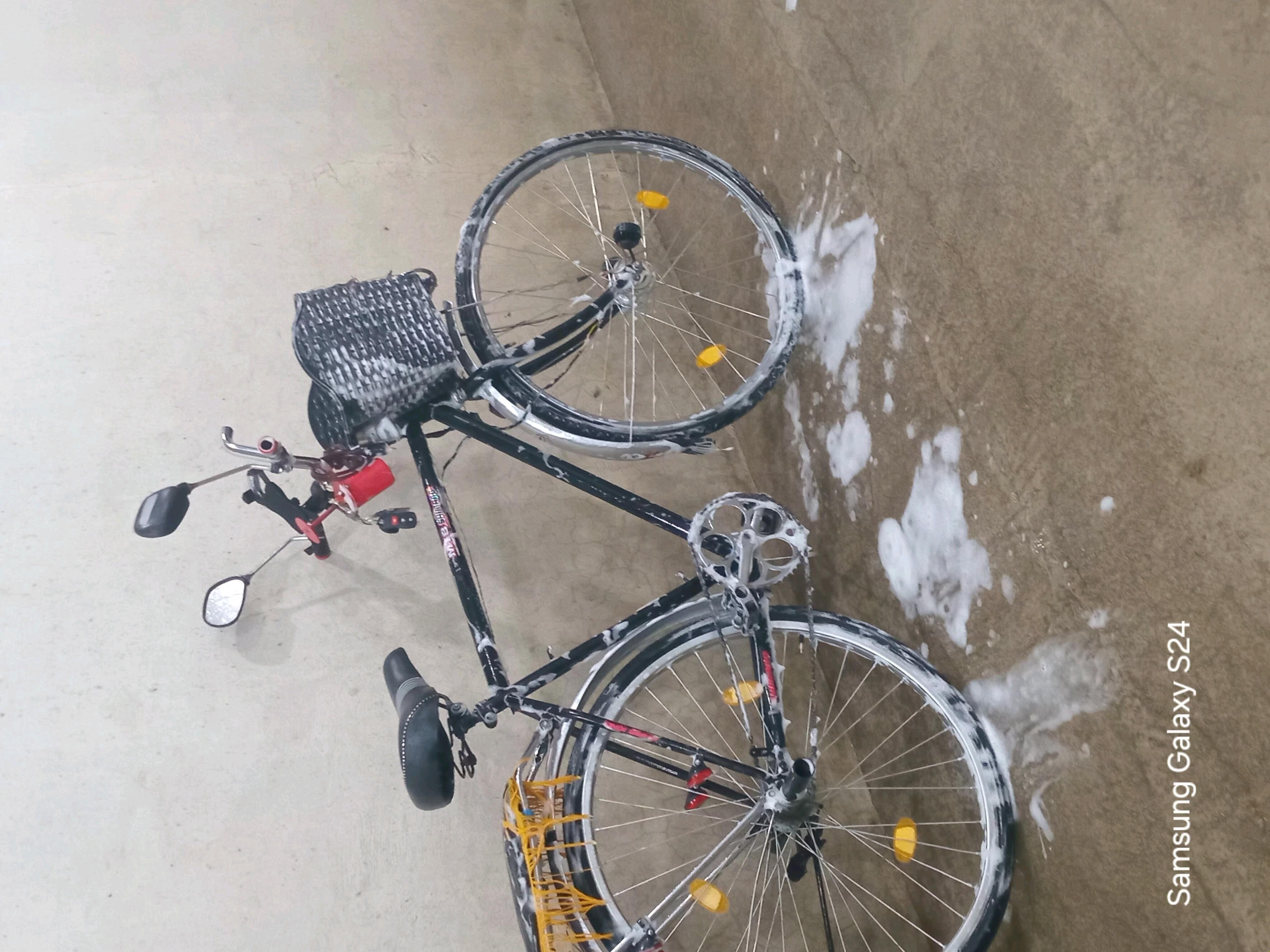 tigir - Gökdepe - img 3