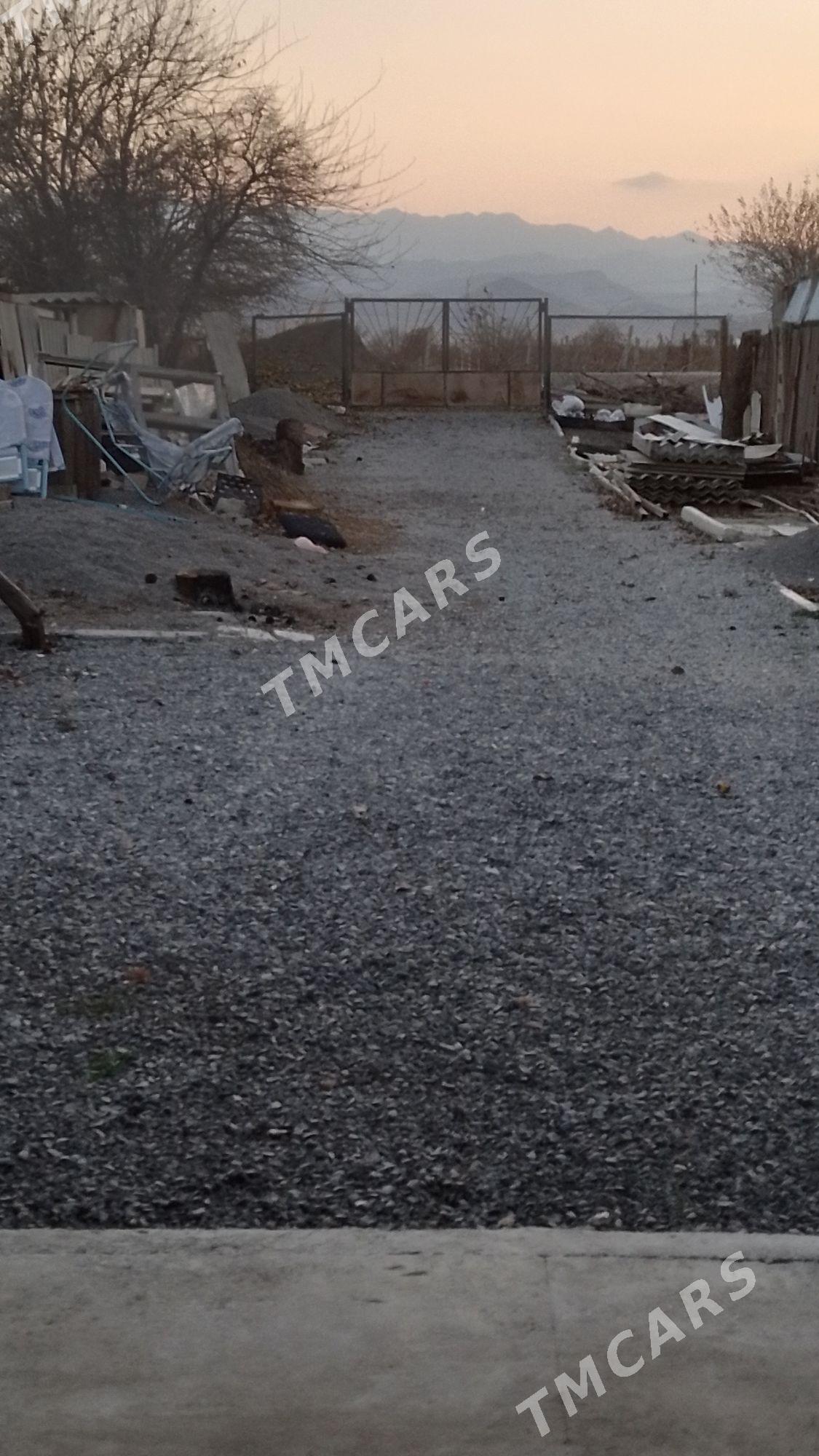 satlyk jay ýaşlyk 38 de - Ýaşlyk - img 4