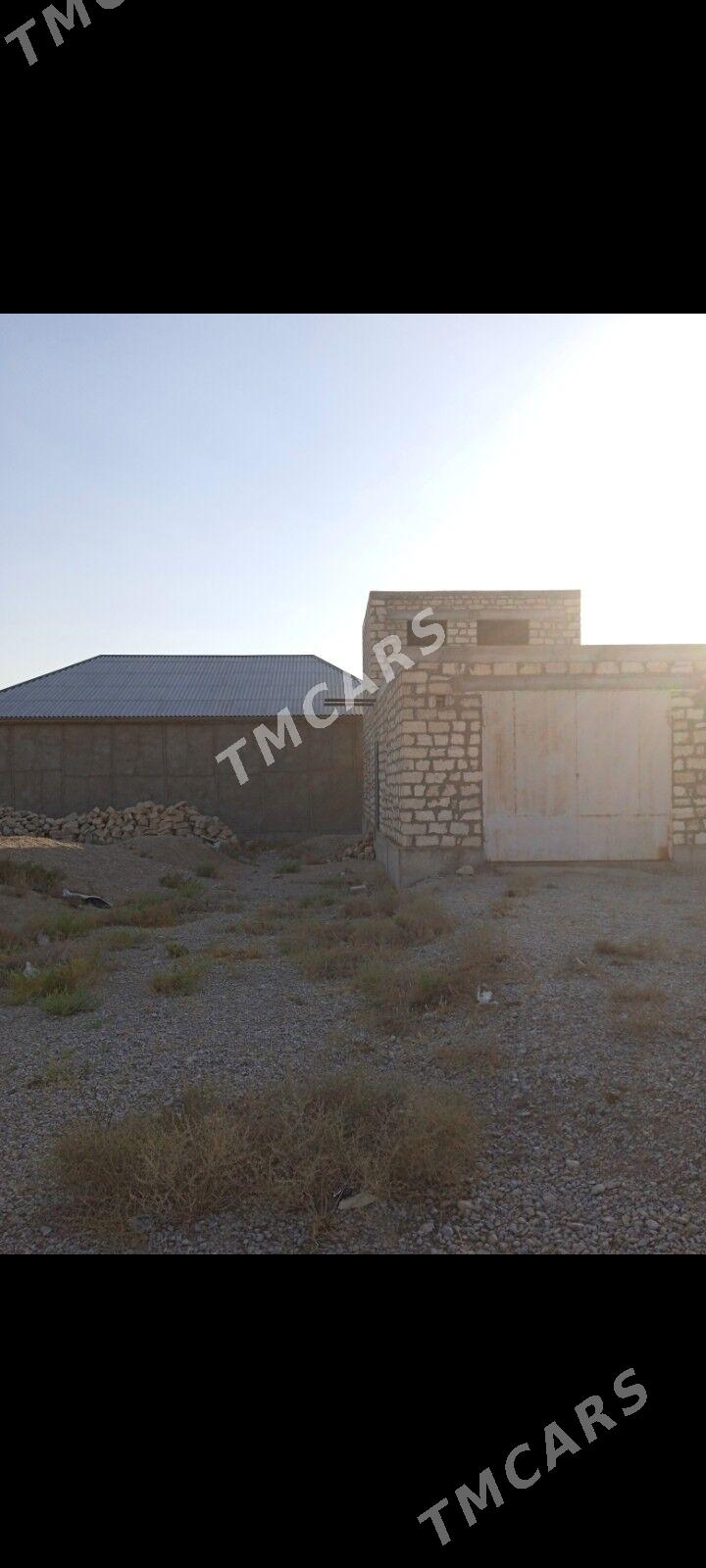 Satlyk jay - Balkanabat - img 2