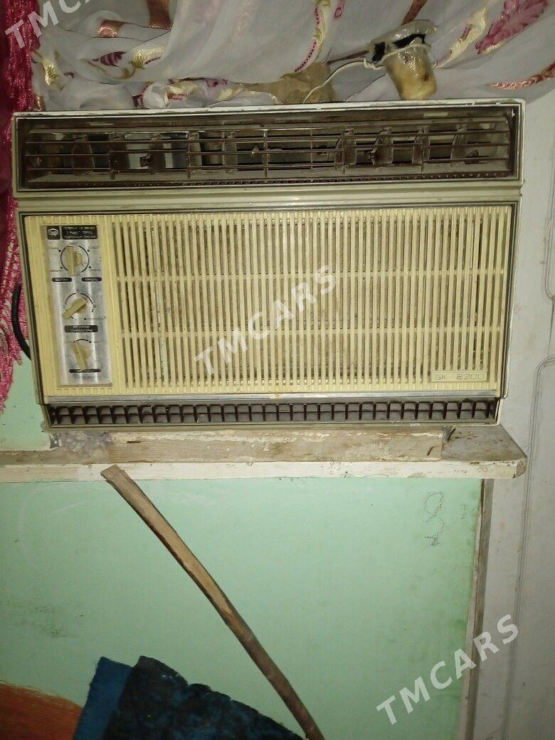 Kansener byka - Daşoguz - img 2