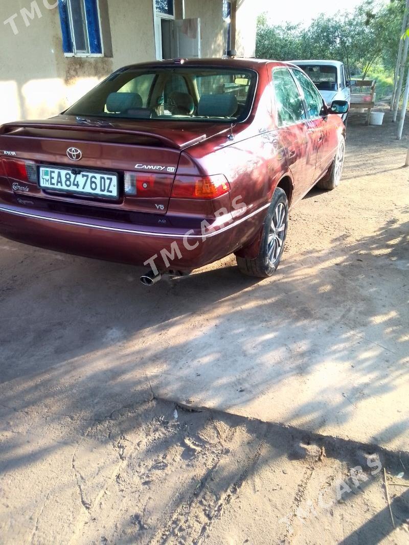 Toyota Camry 2000 - 150 000 TMT - Кёнеургенч - img 5