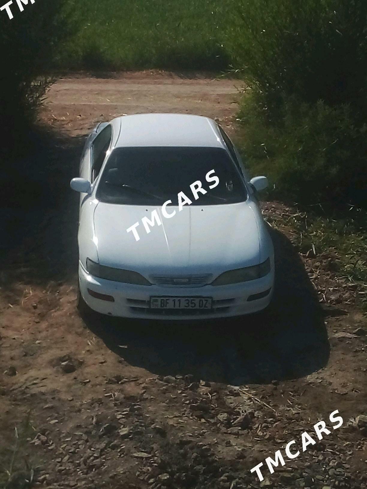 Toyota Carina 1993 - 45 000 TMT - Gubadag - img 5