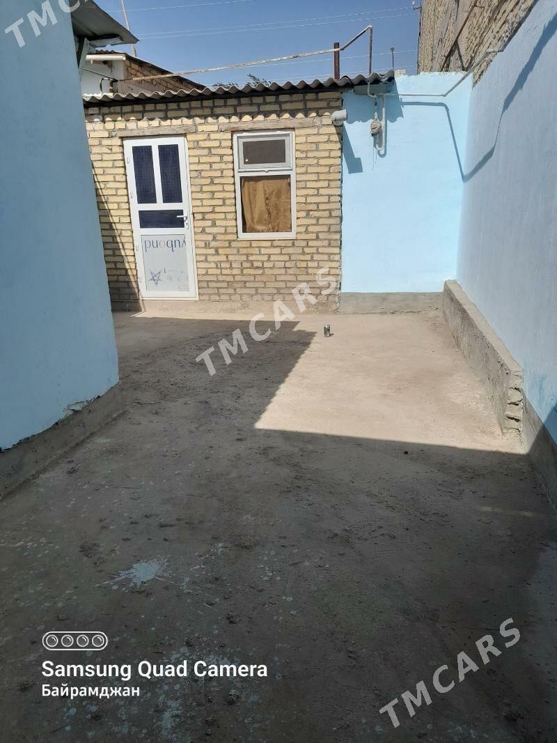 satlyk jay - Farap - img 5