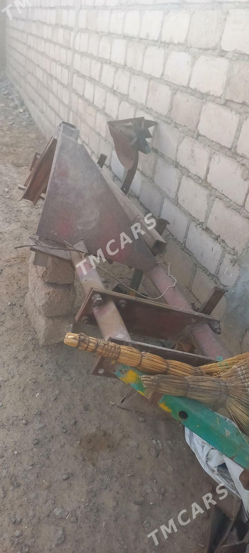 akusnyk - Ýaşlyk - img 2