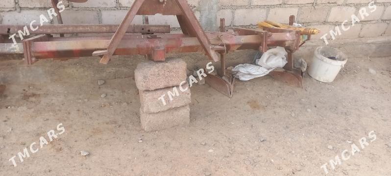 akusnyk - Ýaşlyk - img 3