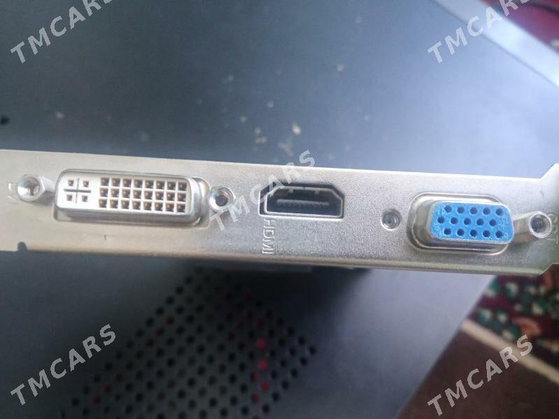 Amd 4350 - Çärjew - img 2