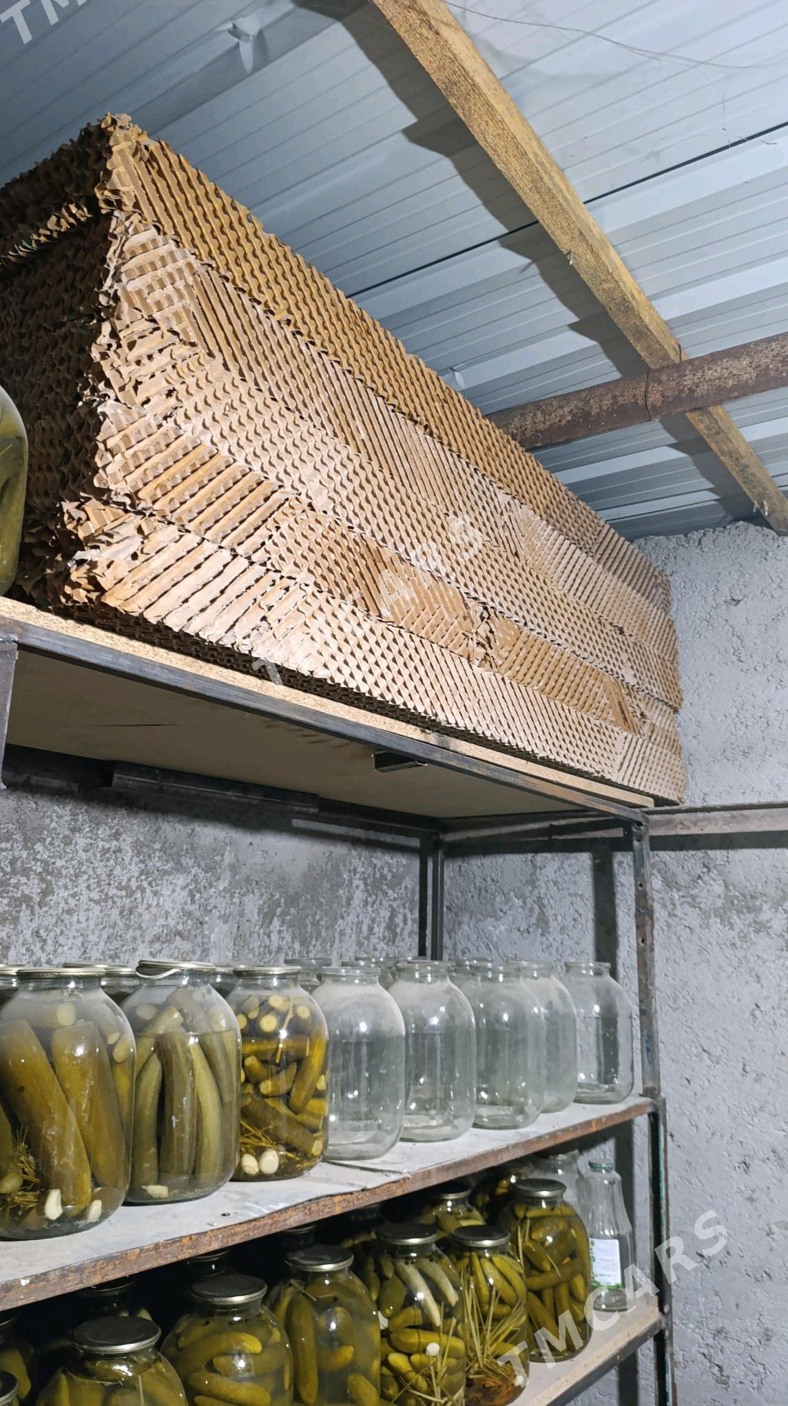 pet - Ak bugdaý etraby - img 3