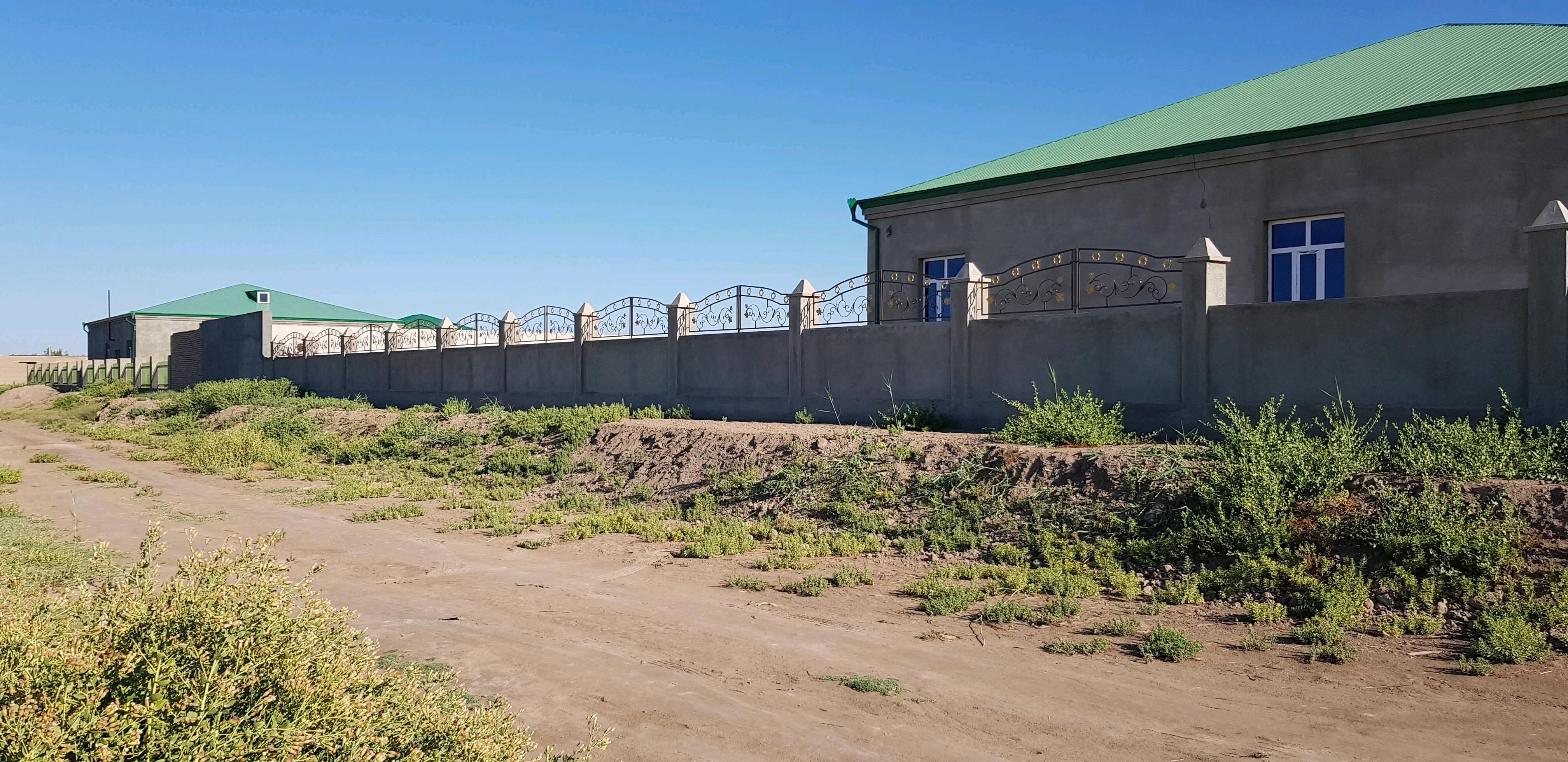 jay - Гороглы (Тагта) - img 8