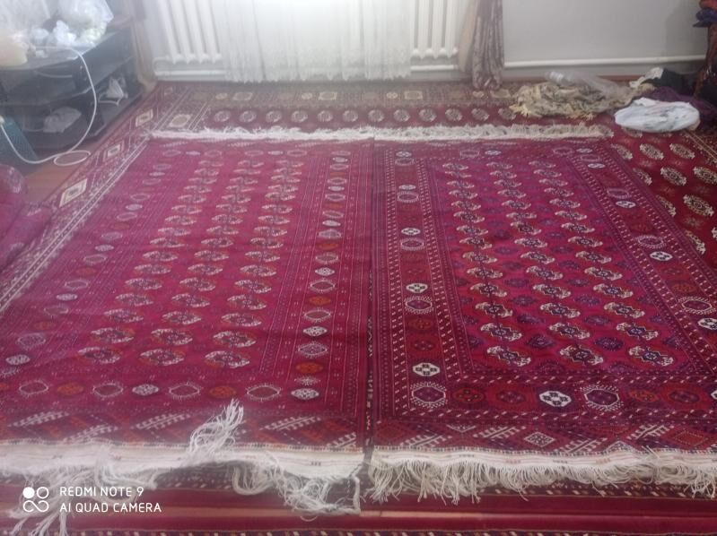 El haly - Çoganly - img 3