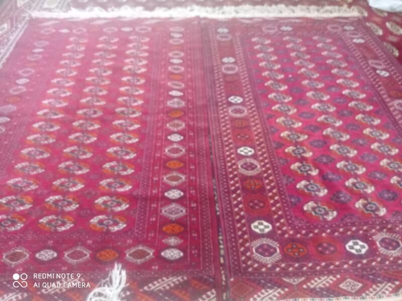 El haly - Çoganly - img 4