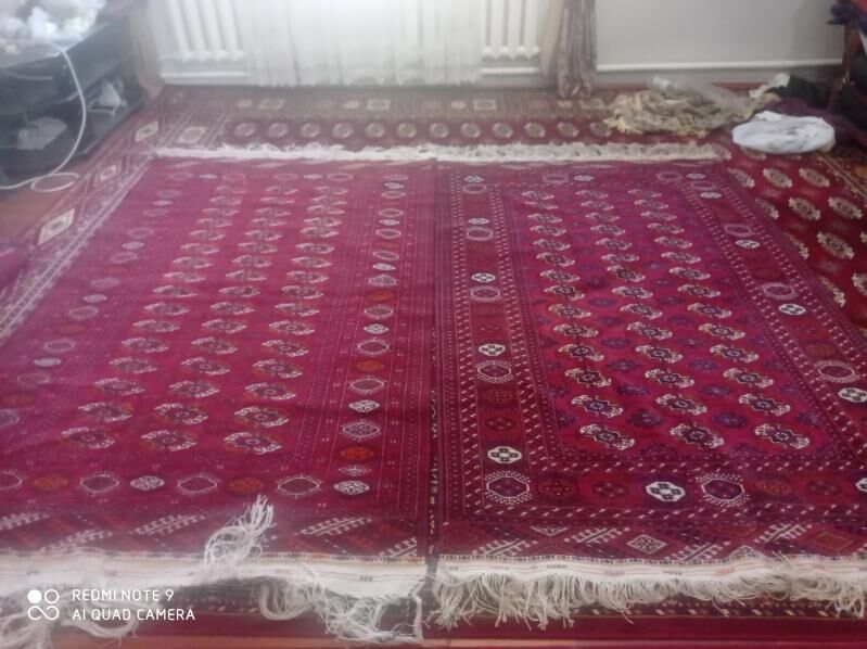 El haly - Çoganly - img 2