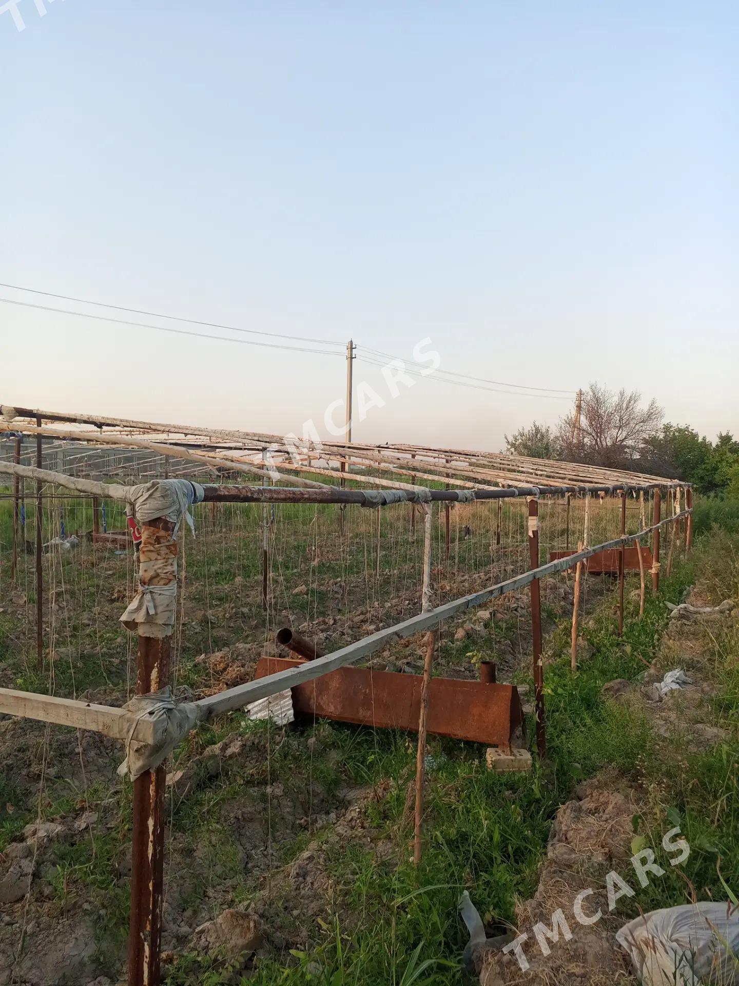 Parnik - Мургап - img 1