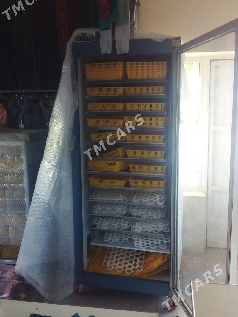 Enkubator - Büzmeýin - img 3