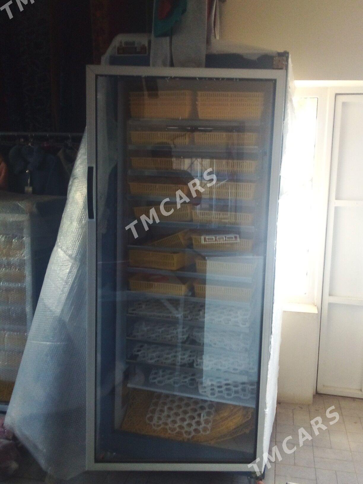 Enkubator - Büzmeýin - img 4