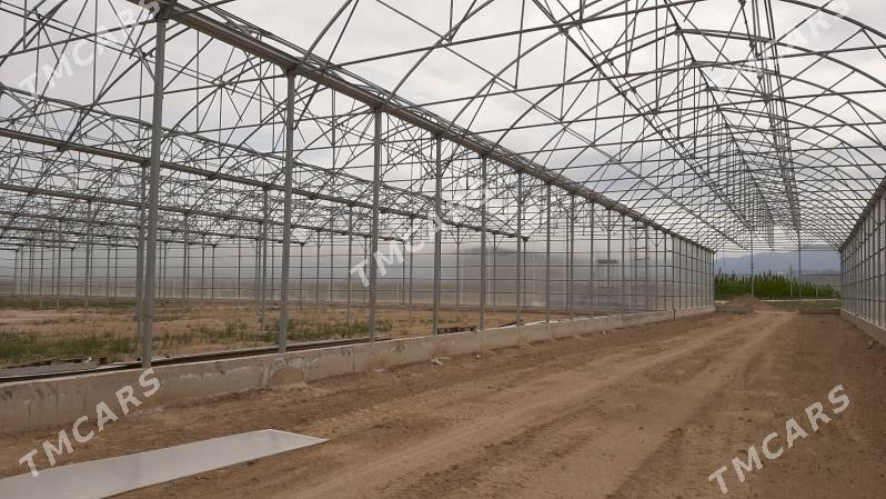 теплица ýyladyşhana - Гызыларбат - img 3