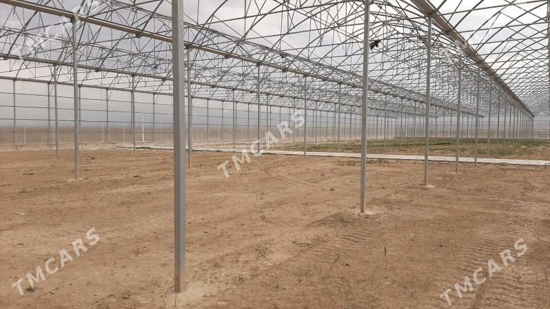 теплица ýyladyşhana - Гызыларбат - img 2