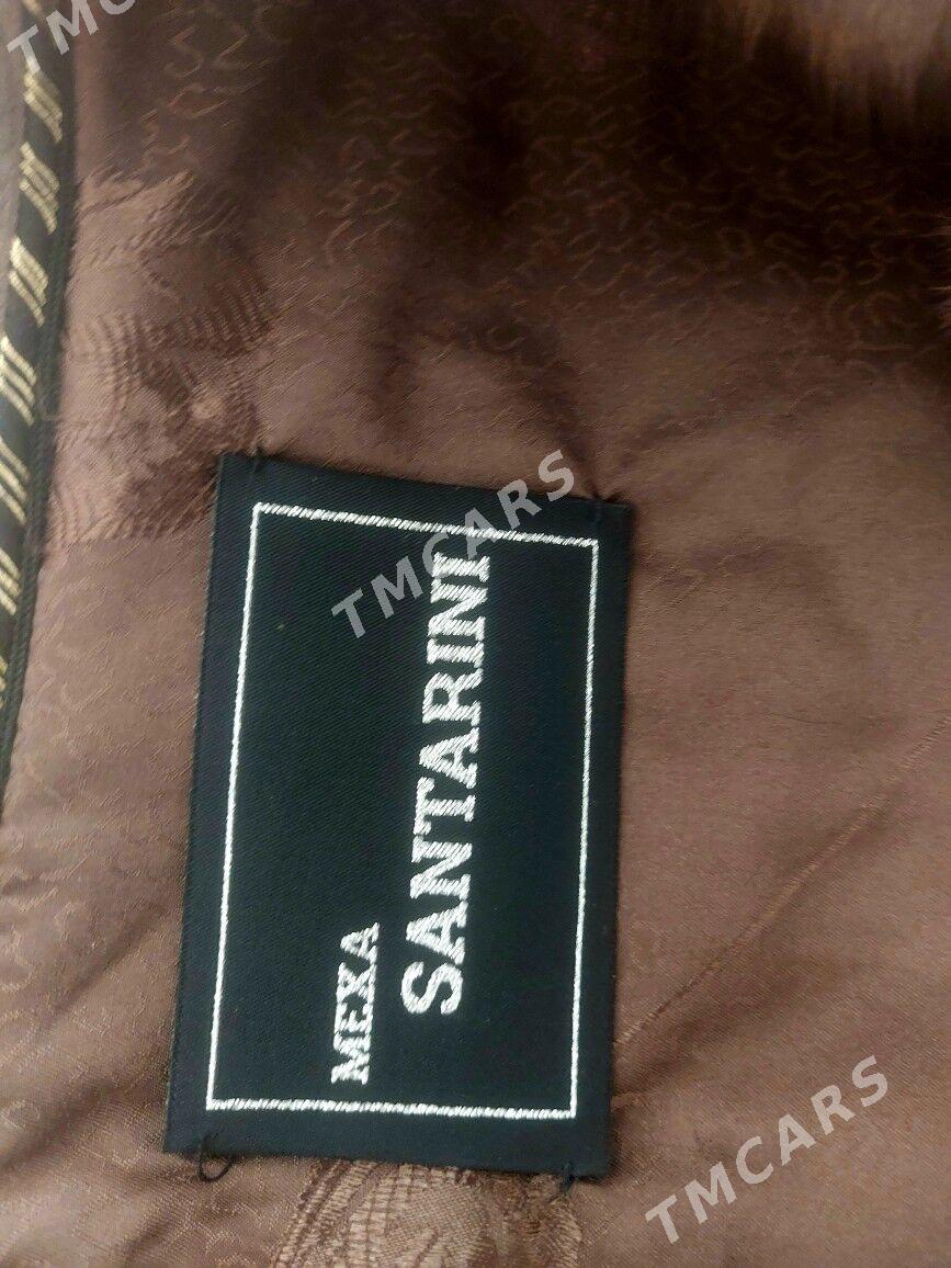 Шуба - Ашхабад - img 2