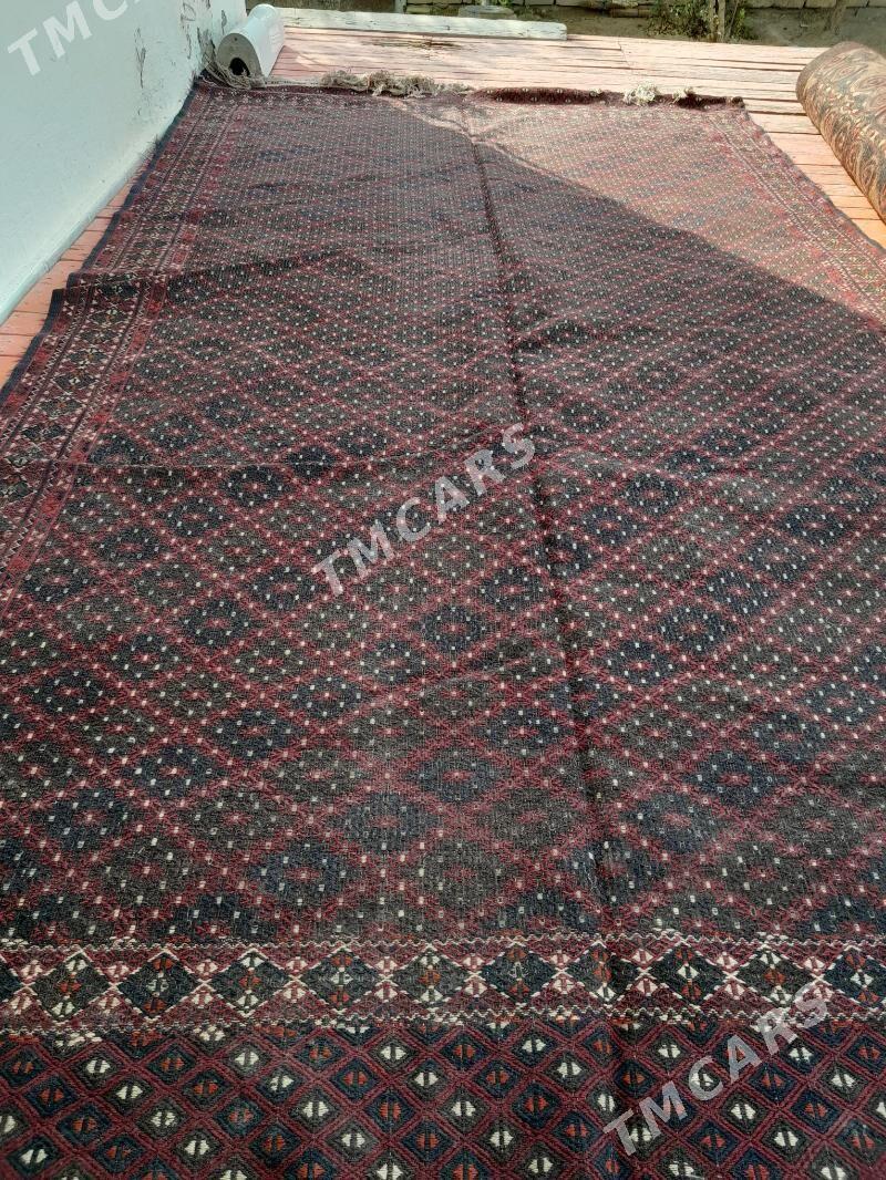 keceler ojakbas klim - Balkanabat - img 3