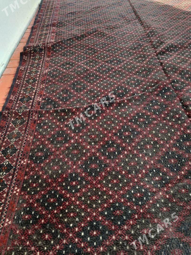 keceler ojakbas klim - Balkanabat - img 5