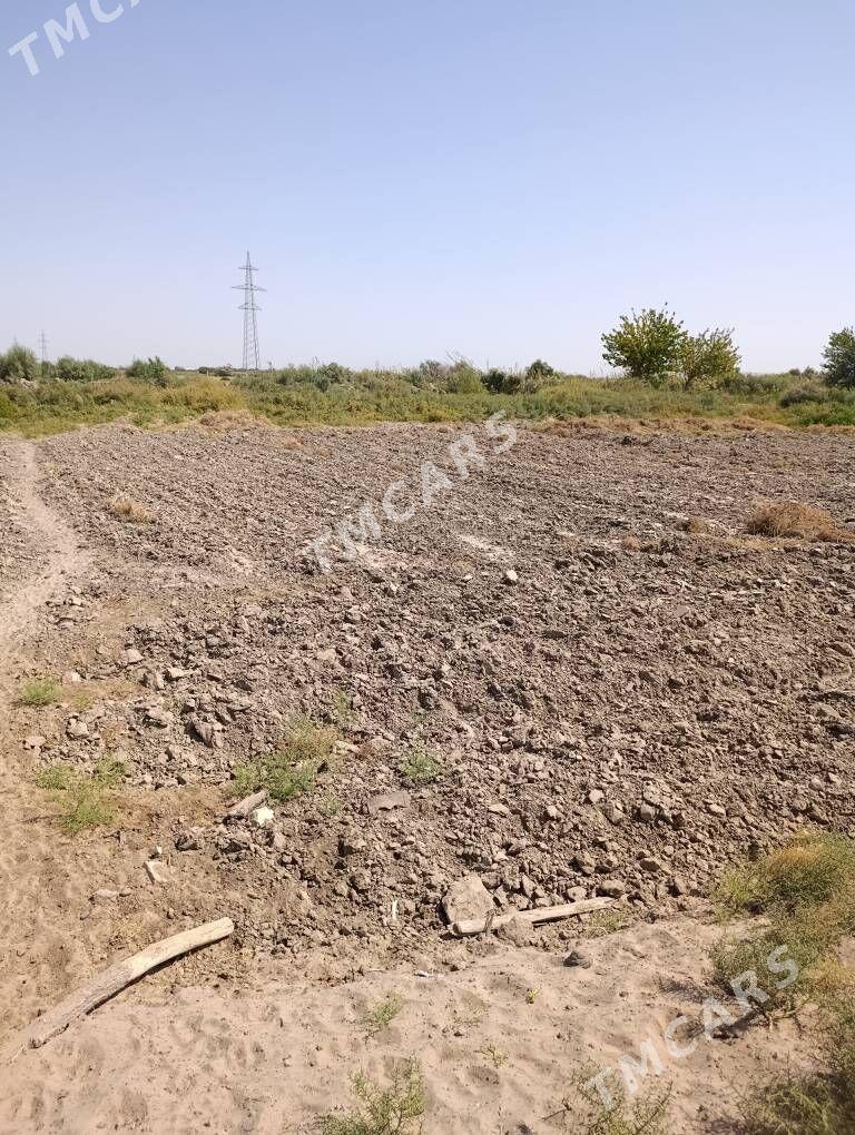 Arenda yer - Мары - img 4