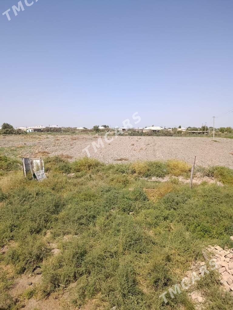 Arenda yer - Мары - img 3