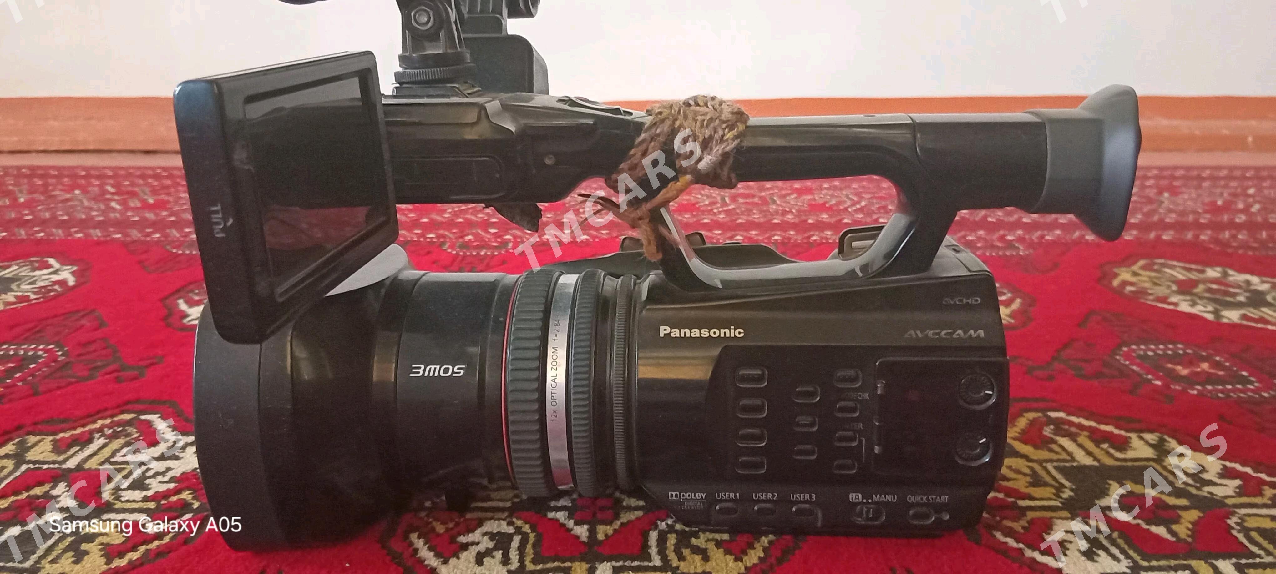 Panasonic 90 - Sakarçäge - img 2