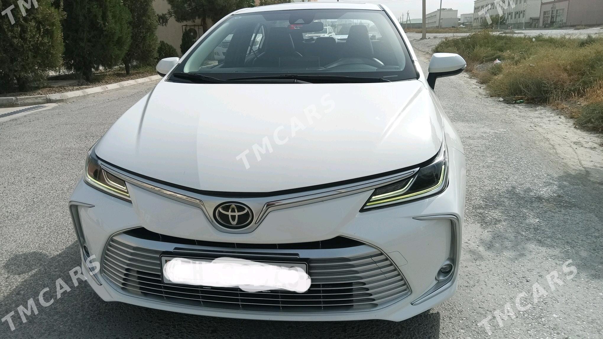 Toyota Corolla 2022 - 285 000 TMT - Арчабиль шаёлы - img 4