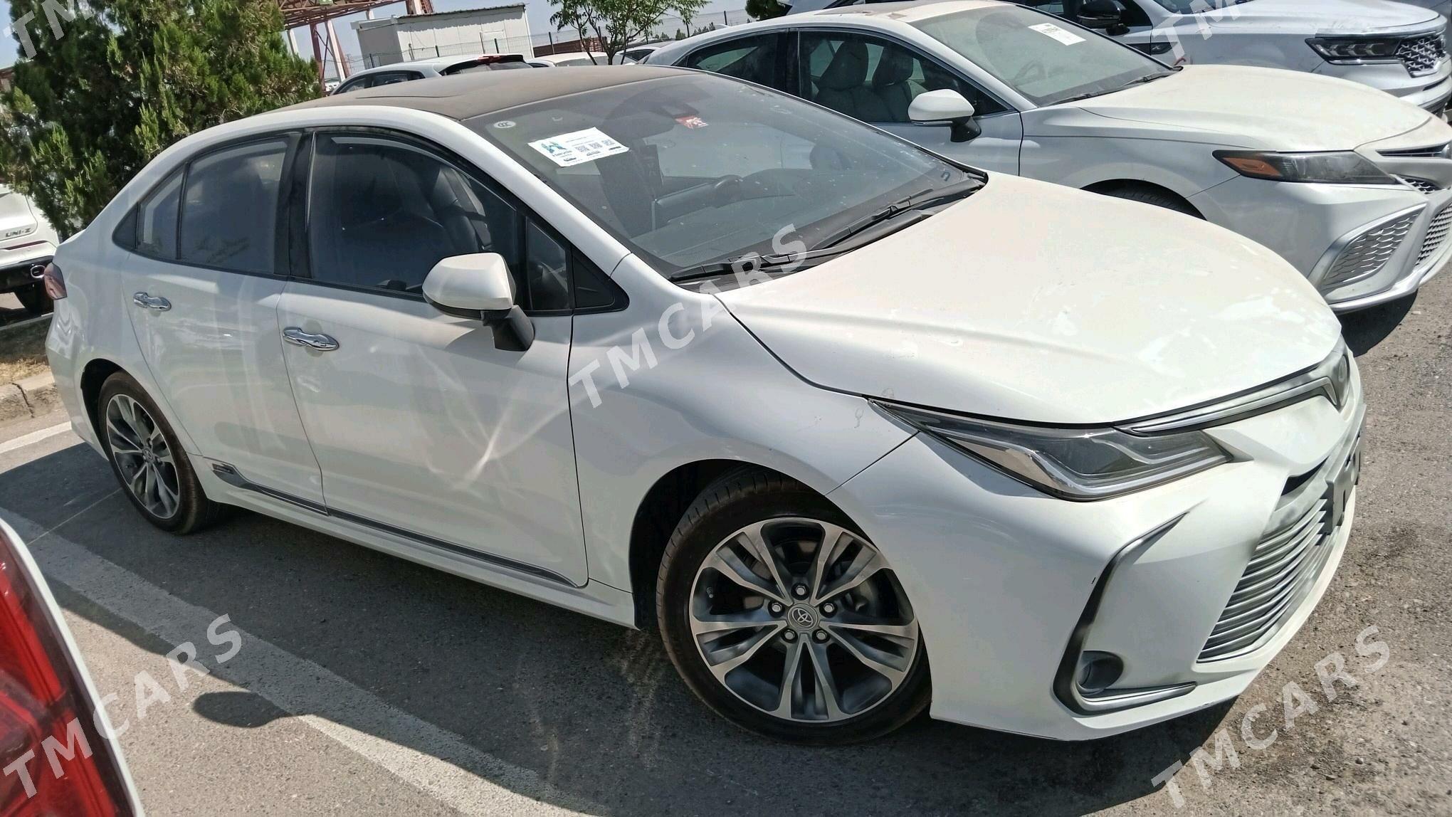 Toyota Corolla 2022 - 285 000 TMT - Арчабиль шаёлы - img 7