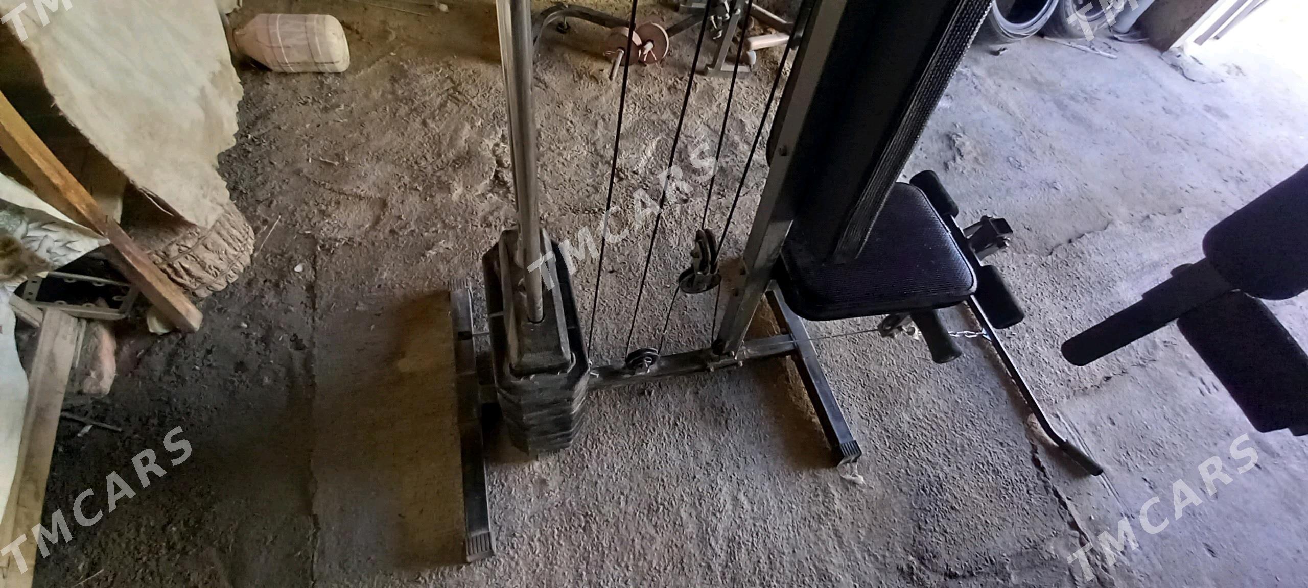 Tyrnajor - Арчабиль шаёлы - img 1