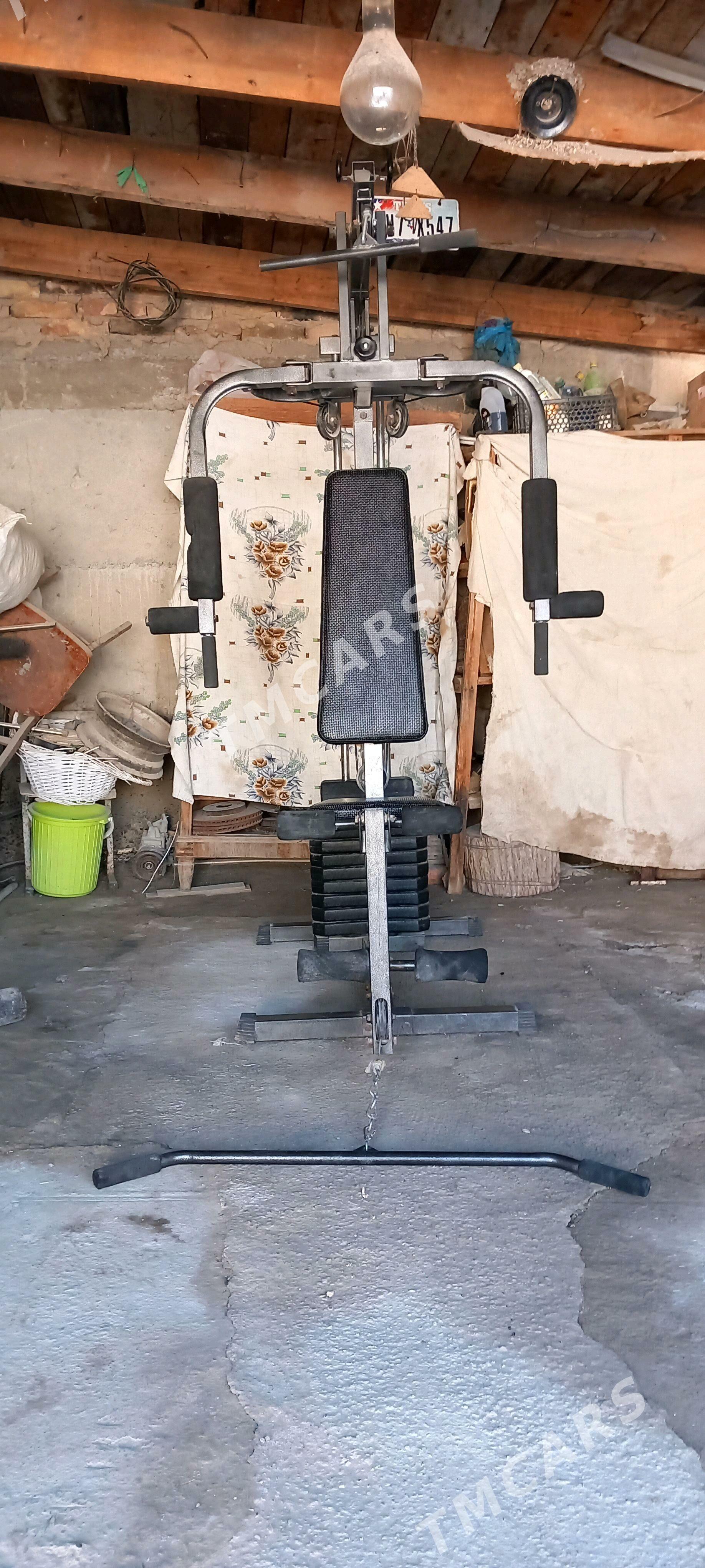 Tyrnajor - Арчабиль шаёлы - img 2