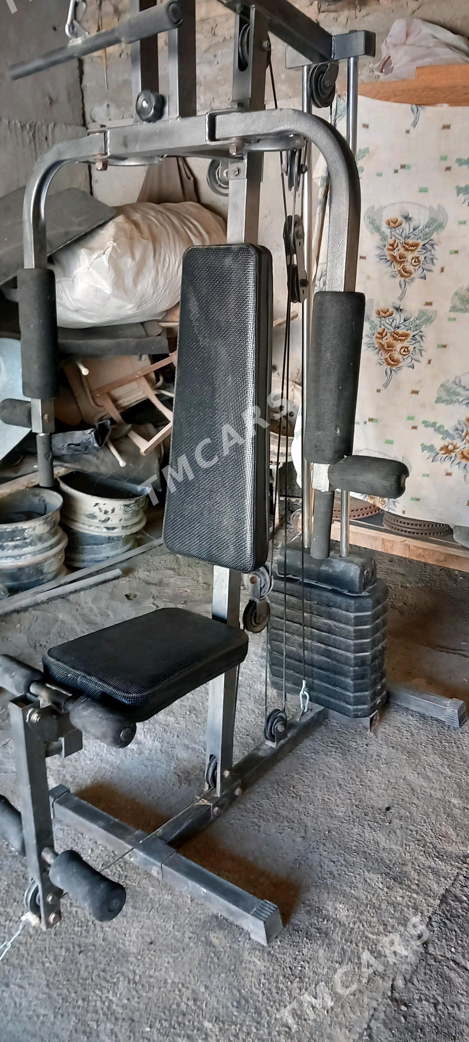 Tyrnajor - Арчабиль шаёлы - img 8