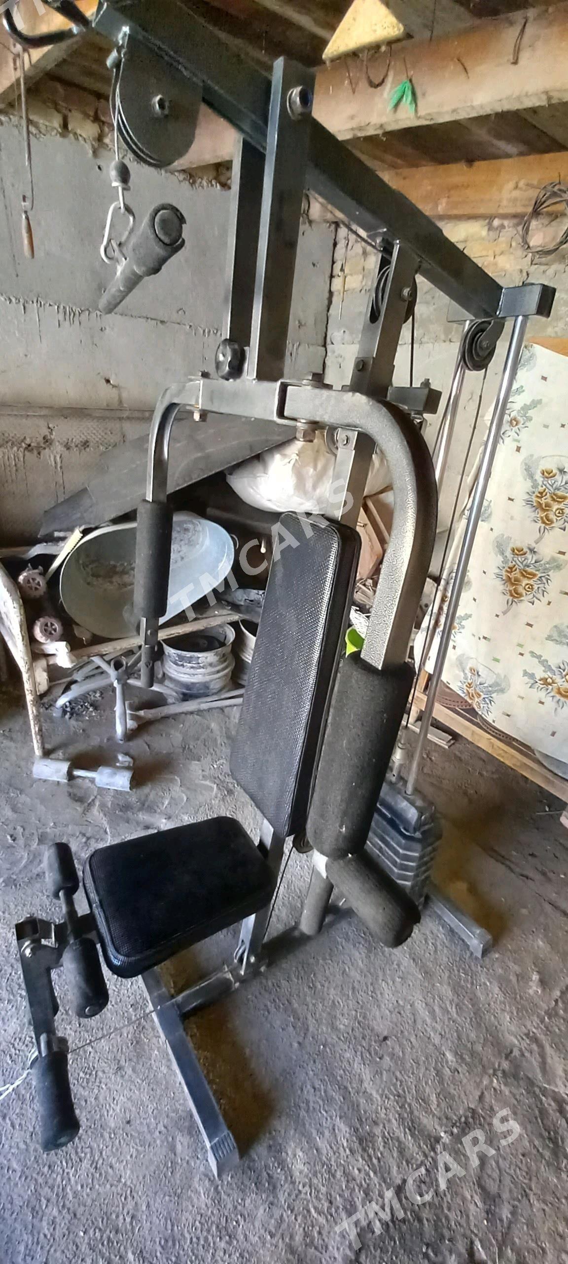 Tyrnajor - Арчабиль шаёлы - img 6