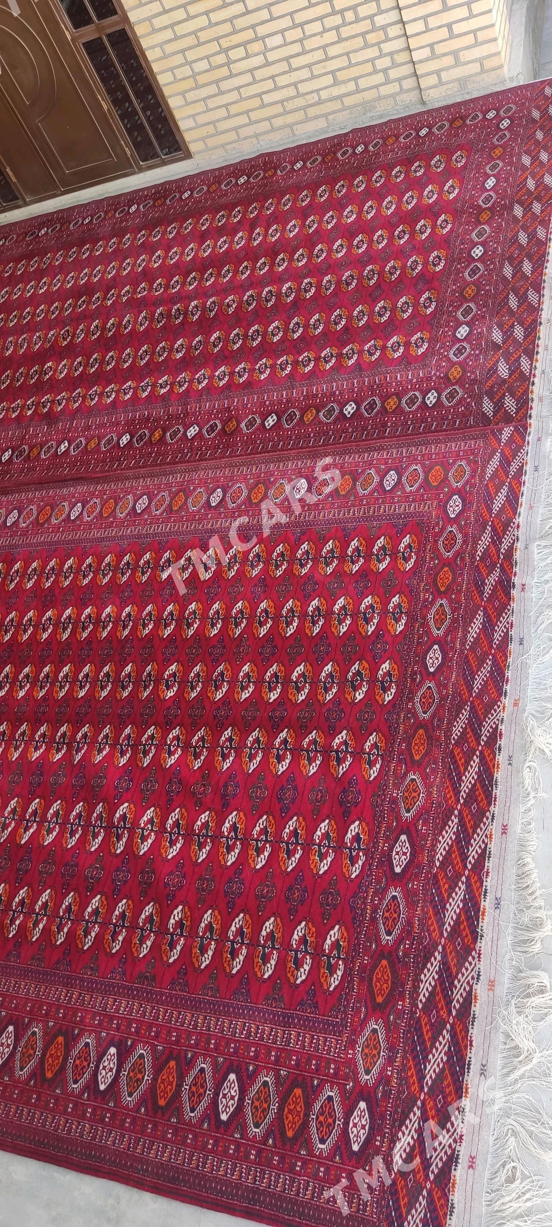 el haly 3/6 - Бахарден - img 4