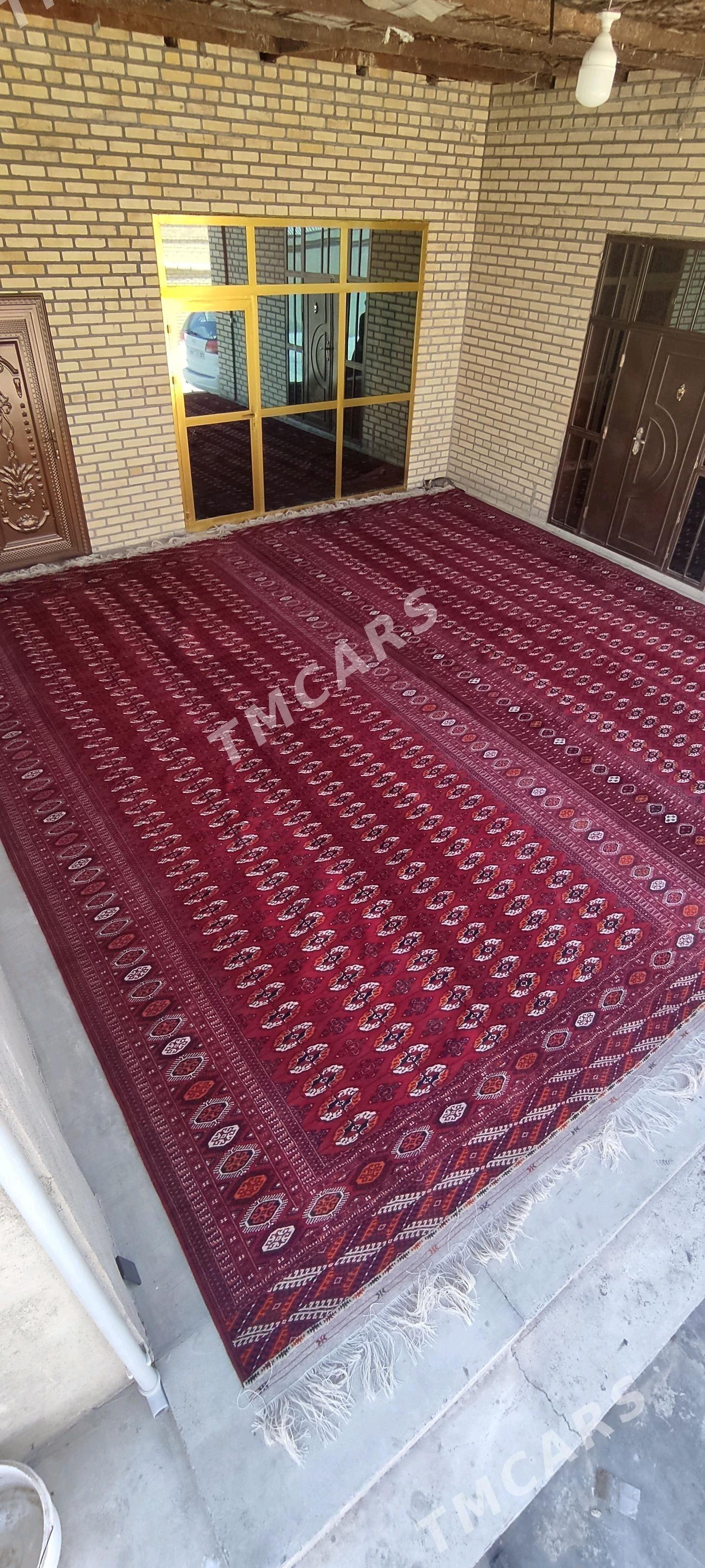 el haly 3/6 - Бахарден - img 3