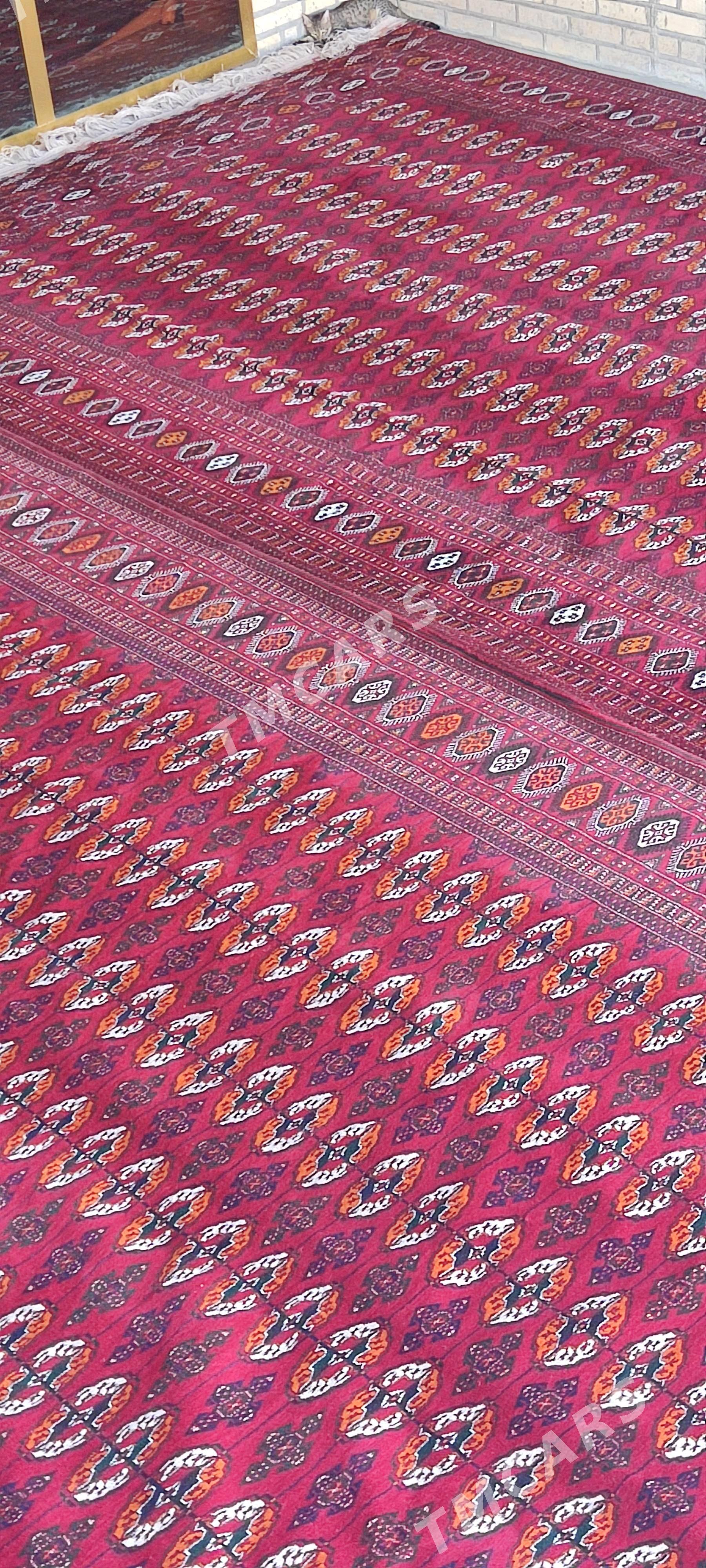 el haly 3/6 - Бахарден - img 2