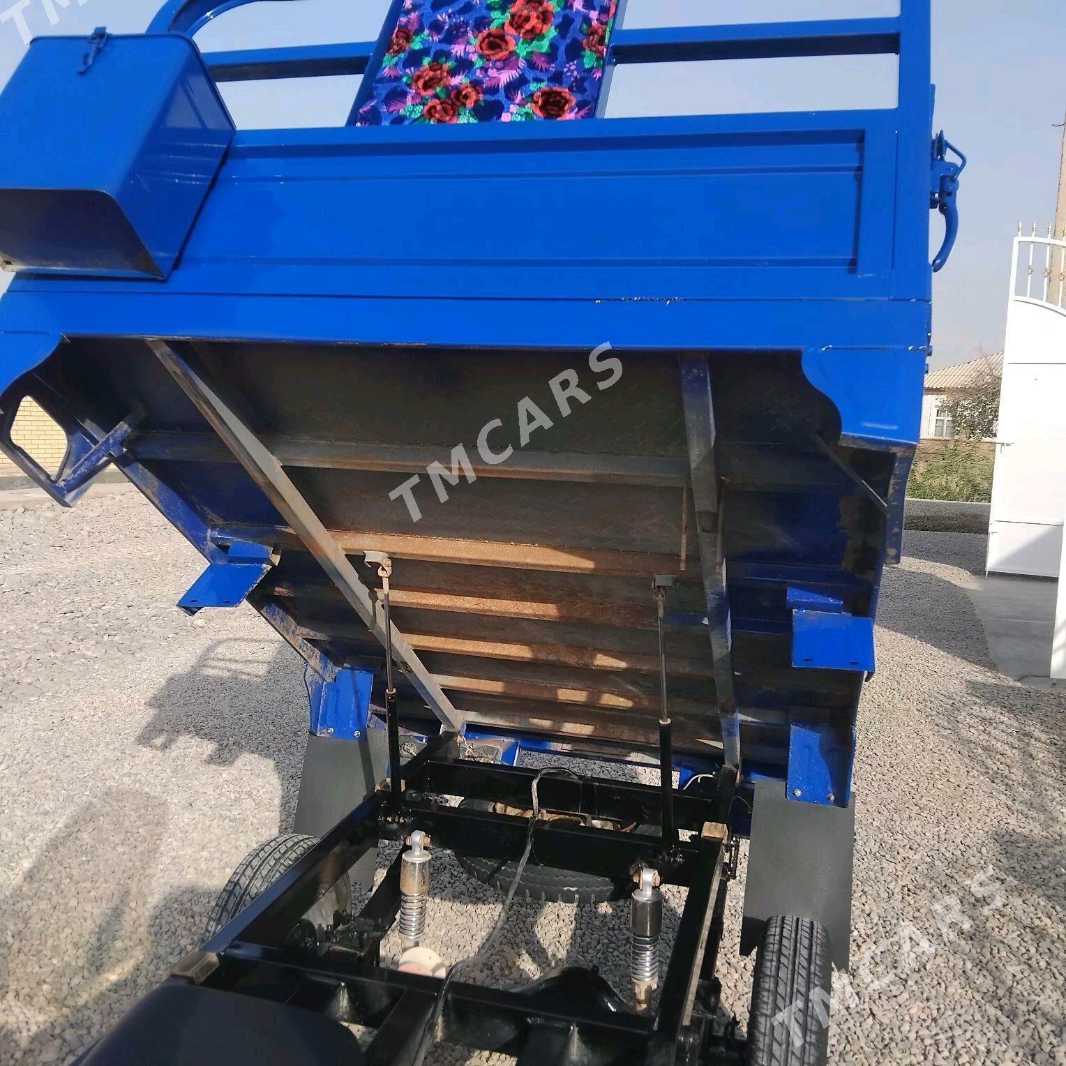 Fekon FK200-14G 2014 - 16 000 TMT - Sakarçäge - img 7